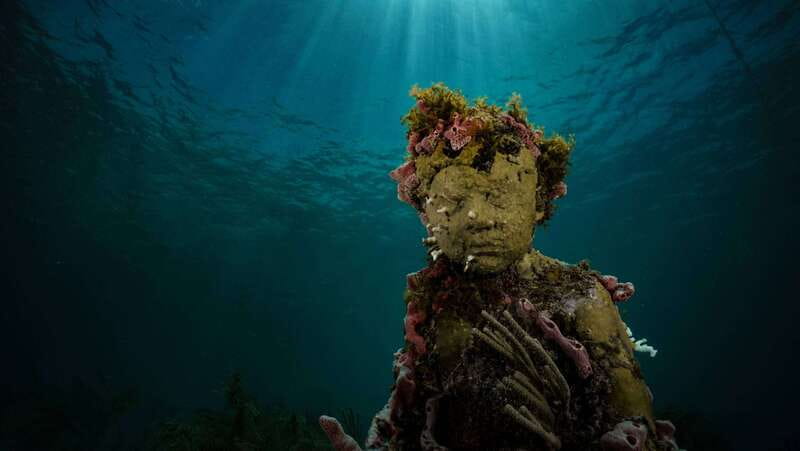 Cancun: Snorkeling Tour at MUSA The Underwater Museum - Meeting Aquaworld and getting ready