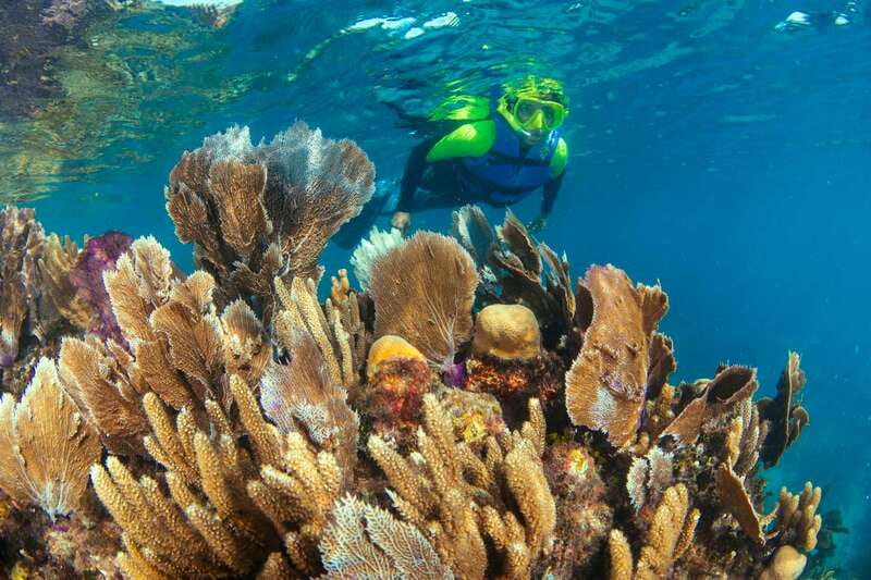 Cancun: Snorkeling Tour at MUSA The Underwater Museum - A second stop at Manchones Reef