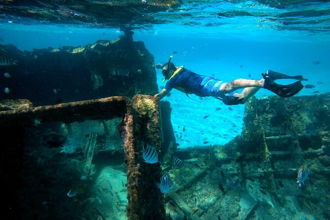 Cancun Snorkeling Tour: Swim with Turtles, Reef, Underwater Museum and Shipwreck - Third stop: turtle habitat and possible rays