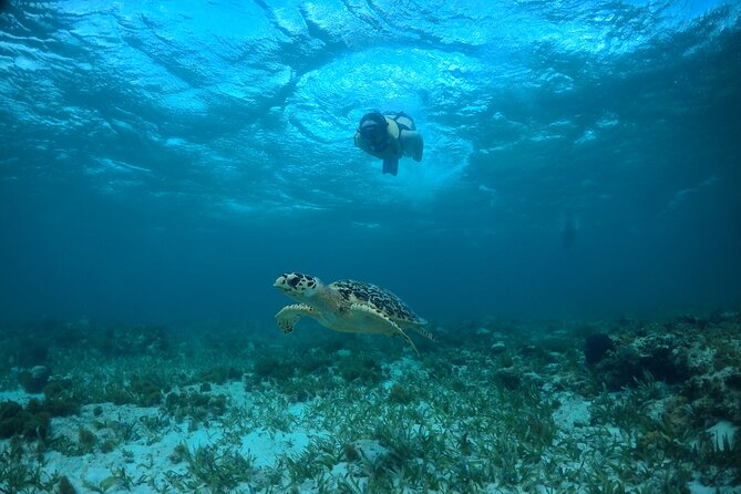 Cancun Snorkeling Tour: Swim with Turtles, Reef, Underwater Museum and Shipwreck - Fourth stop: the shipwreck
