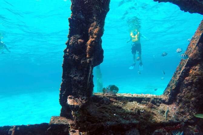 Cancun Snorkeling Tour: Swim with Turtles, Reef, Underwater Museum and Shipwreck - Small boats, good guides, and safety support