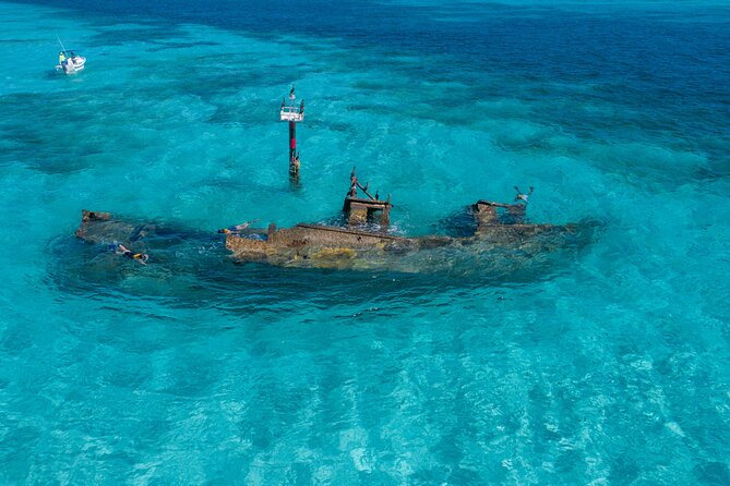 Cancun Snorkeling Tour: Swim with Turtles, Reef, Underwater Museum and Shipwreck - How hard is the swimming?