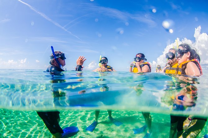 Cancun speedboat and snorkel tour: shared speedboat - The guides make the biggest difference