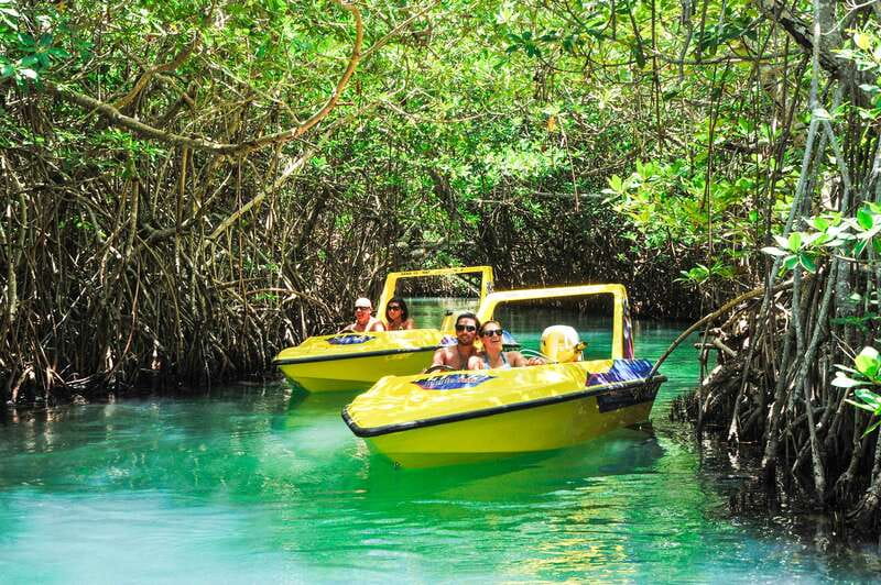 Cancun: Speedboat Mangrove Jungle & Snorkel Tour - Key points to know before you book