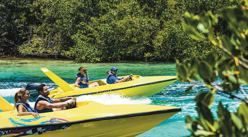 Cancun: Speedboat Mangrove Jungle & Snorkel Tour - What snorkeling is like for beginners