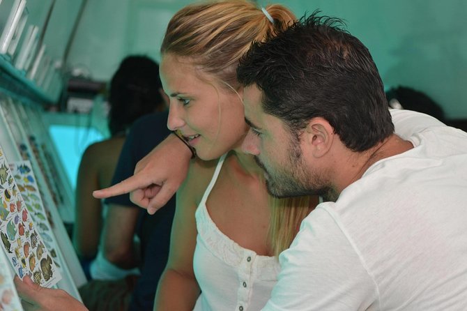 Cancun Submarine and Optional Snorkeling Tour - How Much Time You Spend Underwater