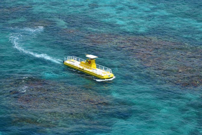 Cancun Submarine and Optional Snorkeling Tour - Guides, Safety, and the Family Experience