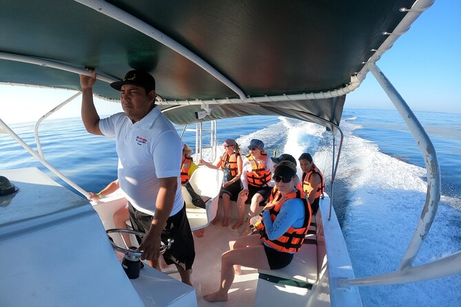 Cancun Whale Shark Experience with Snorkel & Transportation - Reef snorkeling and ceviche near Isla Mujeres