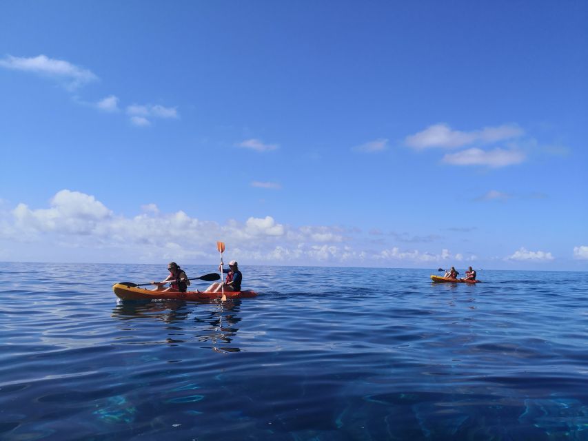 Caniço, Madeira: Marine Reserve Kayak & Snorkelling Tour - The Garajau Marine Reserve snorkeling stop