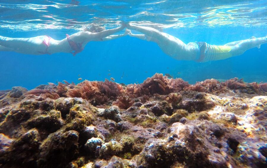 Caniço, Madeira: Marine Reserve Kayak & Snorkelling Tour - What the safety briefing means for you