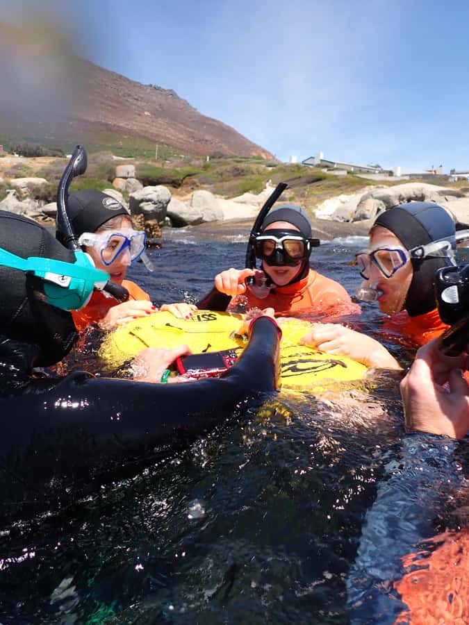 Cape Town: Great African Sea Forest Guided Snorkel - Getting comfortable before the forest thickens