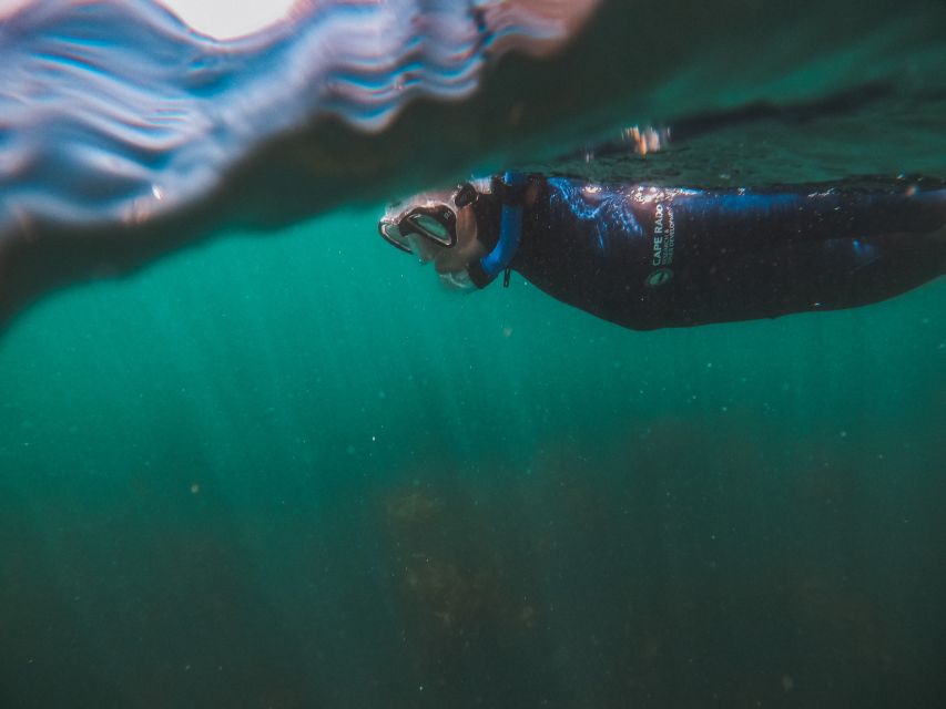 Cape Town: Great African Sea Forest Guided Snorkel - Who will enjoy this most?
