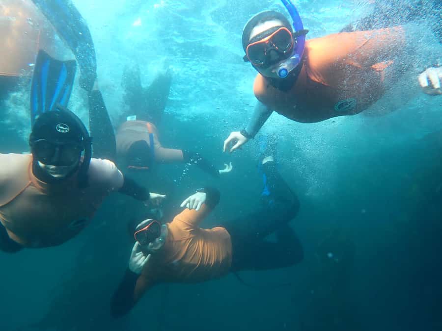 Cape Town: Great African Sea Forest Guided Snorkel - Starting at Cape RADD on False Bay