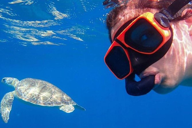 CAPTAIN ALAN'S 4hr -3 Islands-snorkeling-turtles-beach ADVENTURE - Why this four-hour boat trip works well