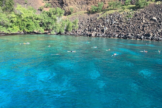 Captain Cook Reef Snorkeling of Kealakekua Bay - A crew that helps beginners feel at ease