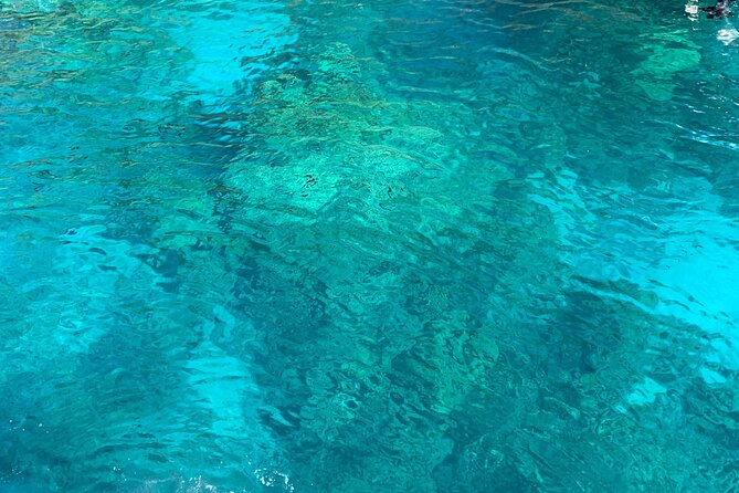 Captain Cook Reef Snorkeling of Kealakekua Bay - Who should book this Kealakekua Bay trip?