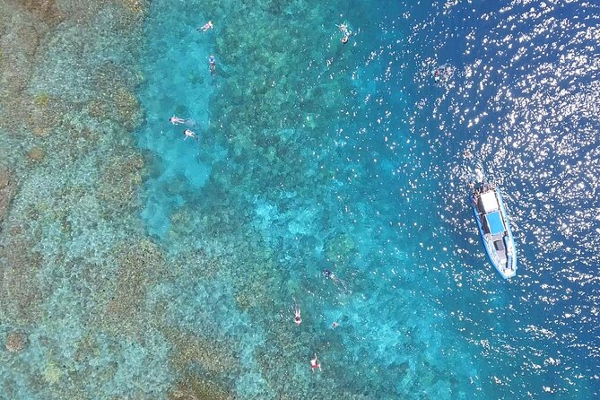 Captain Cook Snorkel Tour with Sea Caves and Lava Tubes - Fish, turtles, dolphins, and seasonal whales