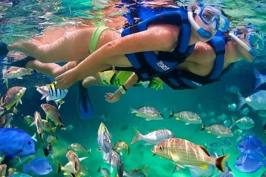 Cartagena: Raccoon Island Snorkel, Mangrove, Photos & Lunch - What the $85 Price Really Buys