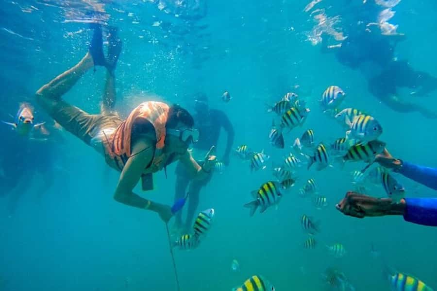 Cartagena: Raccoon Island Snorkel, Mangrove, Photos & Lunch - Three Hours Around Baru Island