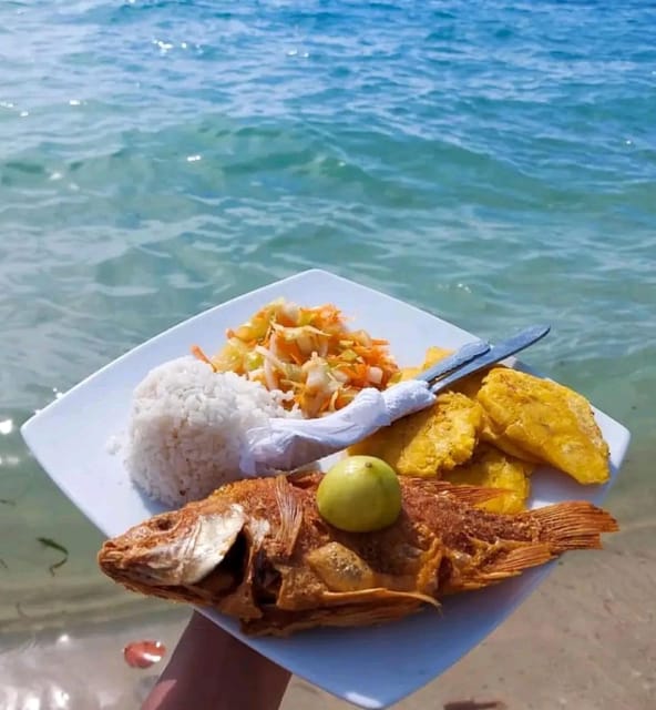 Cartagena: Raccoon Island Snorkel, Mangrove, Photos & Lunch - What the Snorkeling Actually Looks Like