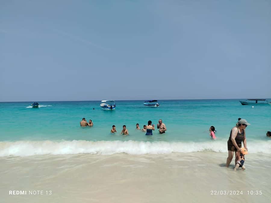 Cartagena: Raccoon Island Snorkel, Mangrove, Photos & Lunch - Speedboats, Group Size, and Comfort