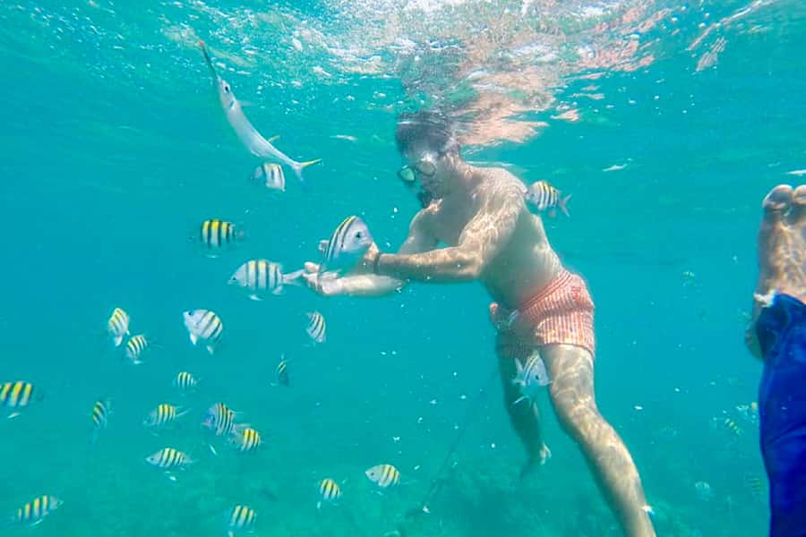 Cartagena: Snorkel, Mangroves and Playa Blanca Tour - Is the tour good value?