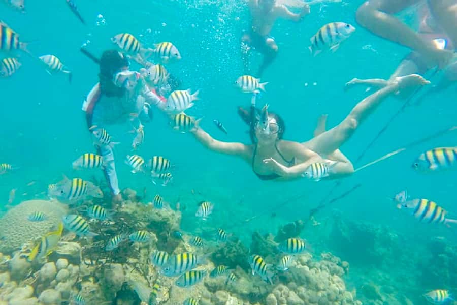 Cartagena: Snorkel, Mangroves and Playa Blanca Tour - A long but useful day outside Cartagena