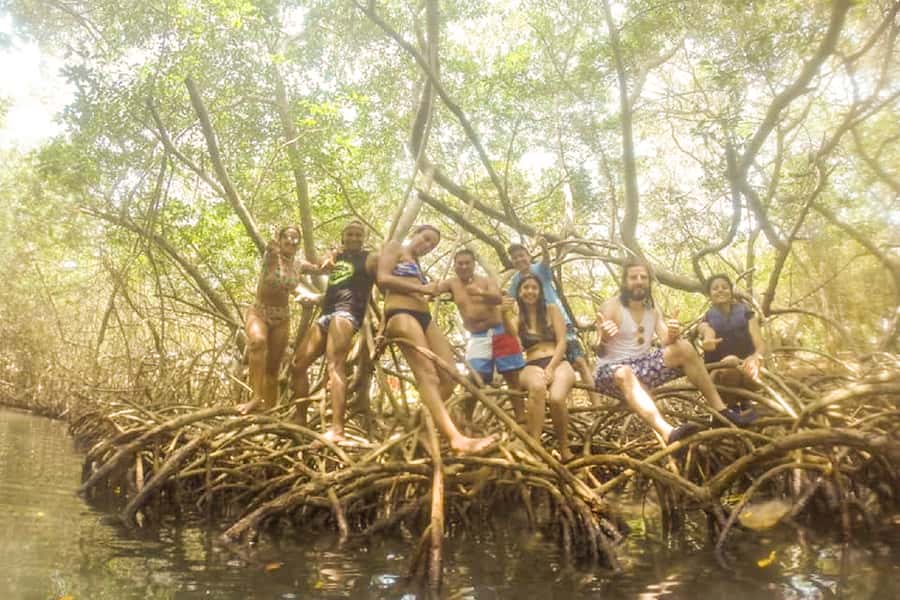Cartagena: Snorkel, Mangroves and Playa Blanca Tour - Snorkeling near Baru: fun, but keep expectations modest