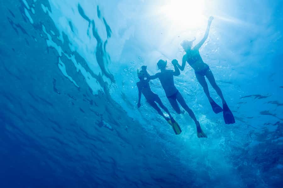 Cartagena: Snorkel, Mangroves and Playa Blanca Tour - The road to Baru takes patience
