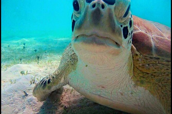 Cas Cay - Kayak Hike and Snorkel Adventure - Who should book this St. Thomas adventure