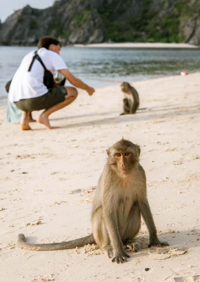 Cat Ba: Lan Ha & Ha Long Bay Kayak & Snorkel Boat Tour - Ba Trai Dao Beach: Swimming, Jumping, and Possible Snorkeling