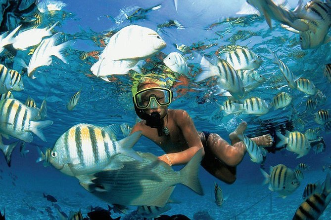 Catamaran adventure to Isla Mujeres with Snorkel,Buffet,Open Bar and Beach Club - Sailing From Cancun to Isla Mujeres