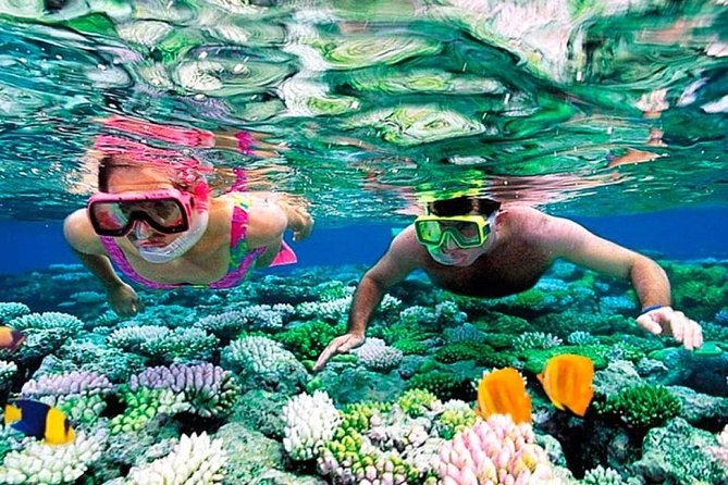 Catamaran adventure to Isla Mujeres with Snorkel,Buffet,Open Bar and Beach Club - The Spinnaker Ride and Other Water Activities