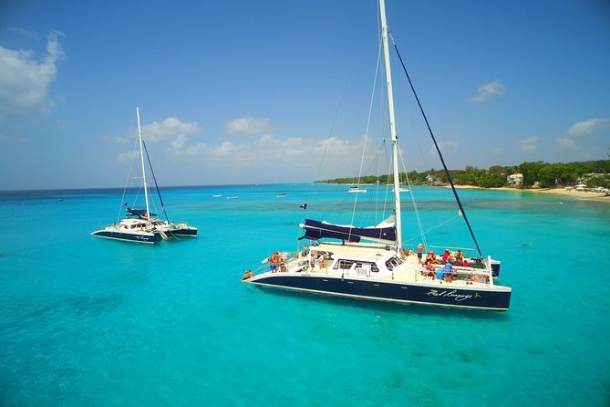 Catamaran and Snorkeling Cruise At Carlisle Bay - Key points at a glance