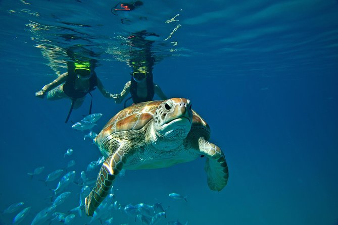 Catamaran and Snorkeling Cruise At Carlisle Bay - Sailing the west coast toward Carlisle Bay