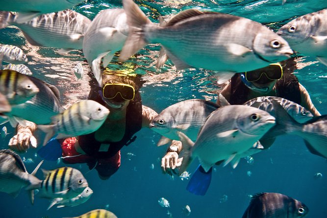 Catamaran and Snorkeling Cruise At Carlisle Bay - Is $145.95 a fair price?