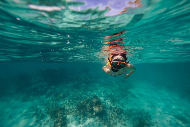 Catamaran and Snorkeling Cruise At Carlisle Bay - Carlisle Bay’s wreck and tropical fish