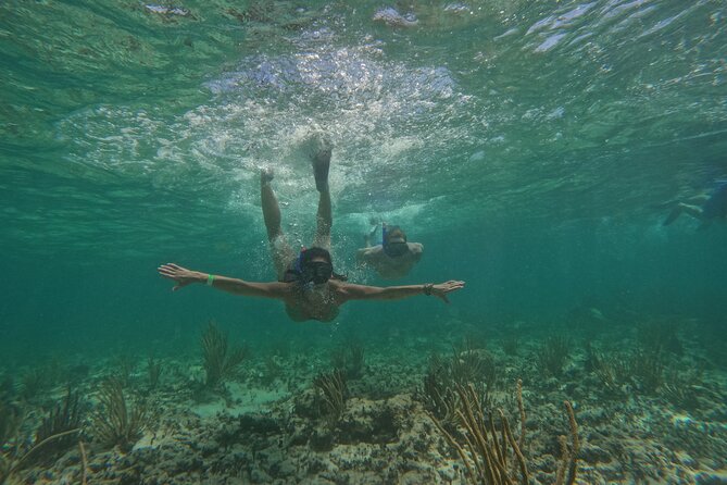 Catamaran Cruise in Riviera Maya With Snorkeling & Beach Club - Is the $85 Price Fair?