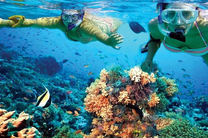 Catamaran Sailing to Isla Mujeres with Snorkeling, Lunch & Open Bar included - Why the crew earns the praise