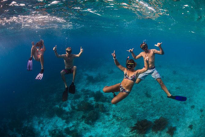 Catamaran Snorkel & BBQ Sail (cruise friendly) - Who will enjoy this catamaran trip most