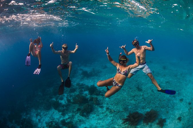 Catamaran Snorkel & BBQ Sail (cruise friendly) - Price, timing, and the fine print