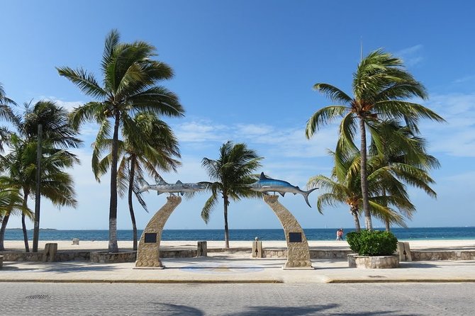 Catamaran Tour to Isla Mujeres, Open bar, Lunch, Snorkeling, Beach Club Included - El Meco Reef: a short look below the surface