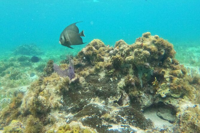 Catamaran with Snorkeling and North Beach, Isla Mujeres - Isla Mujeres: three hours to make your own plan