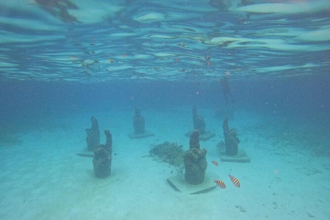 Catamaran with Snorkeling and North Beach, Isla Mujeres - What the $49 price really means