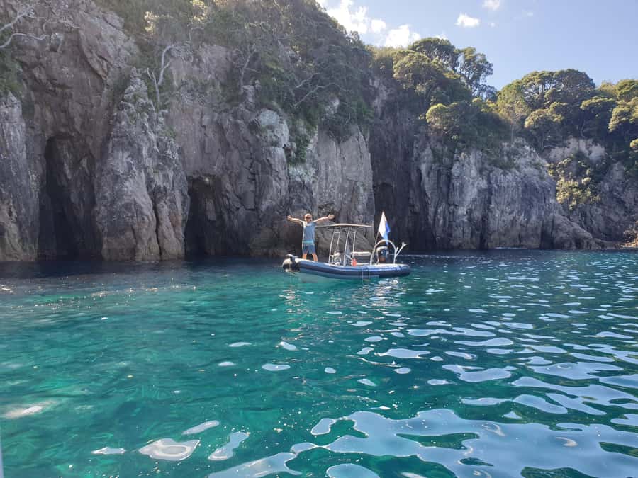 Cathedral Cove Marine Reserve: Snorkeling Boat Trip - What the $85 Price Really Covers