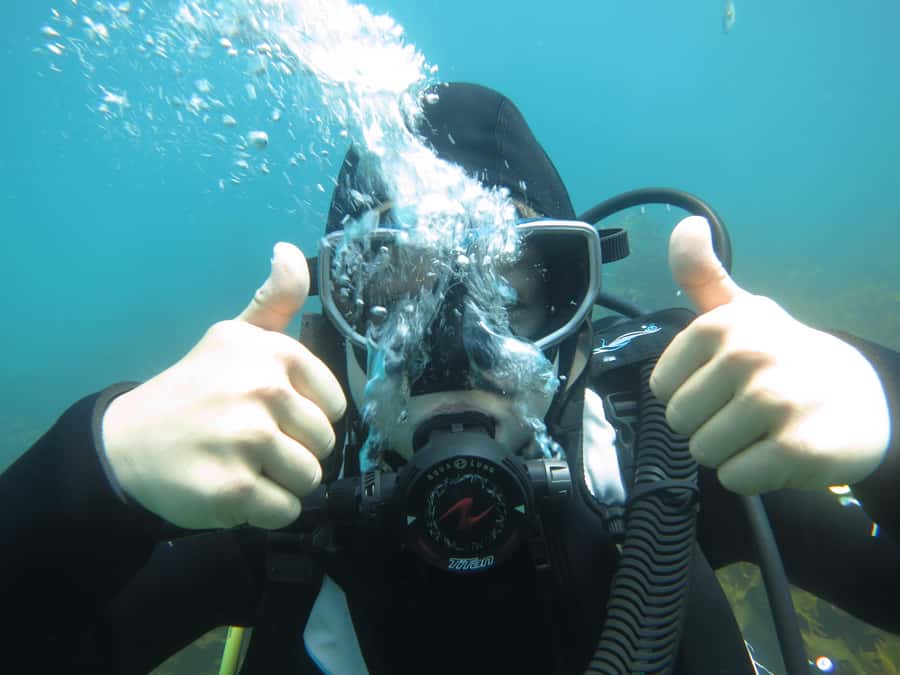 Cathedral Cove Marine Reserve: Snorkeling Boat Trip - Who Will Enjoy It Most