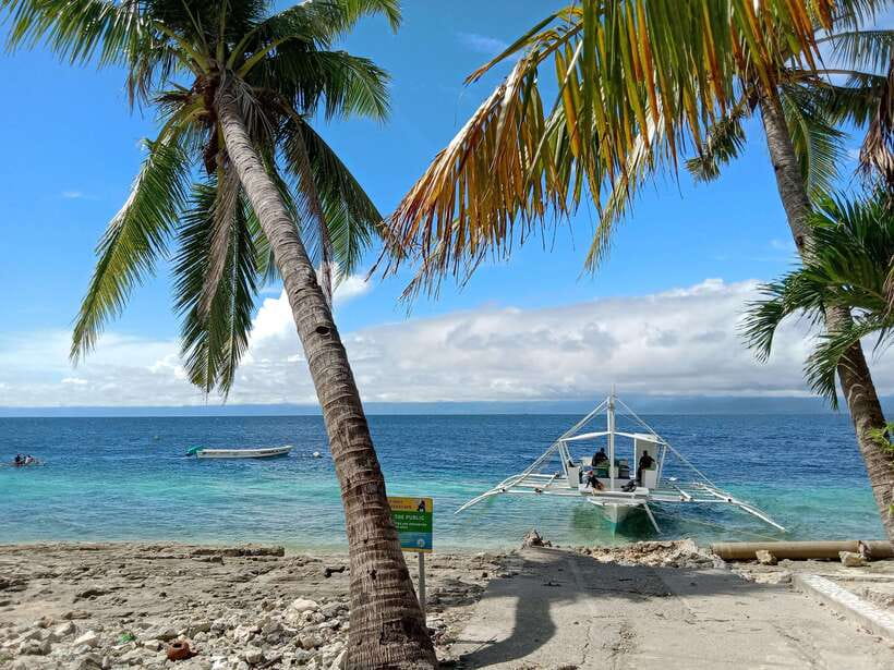 Cebu: Kawasan Canyoning, Moalboal Snorkeling, & Turtles Tour - Four hours of Kawasan canyoning