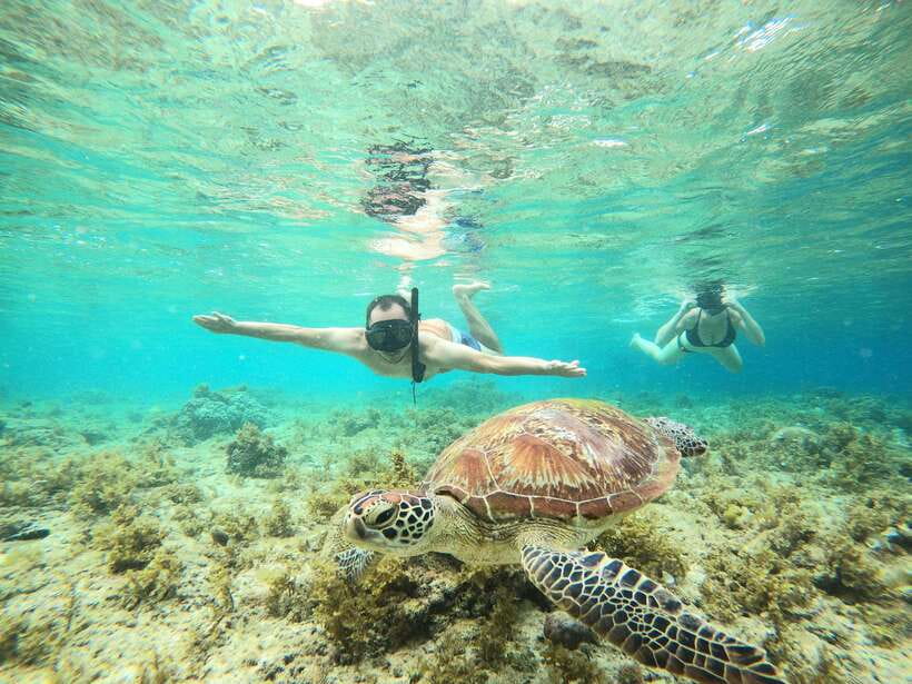 Cebu: Moalboal Sardines Run Snorkel & Kawasan Canyoneering - Lunch in Badian before the wet adventure