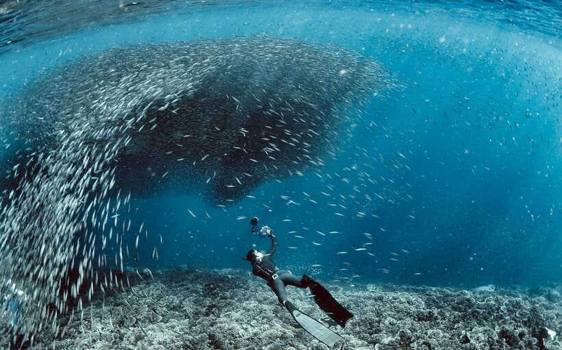Cebu: Moalboal Sardines & Turtle Snorkeling and Canyoneering - Why this Cebu day packs in so much