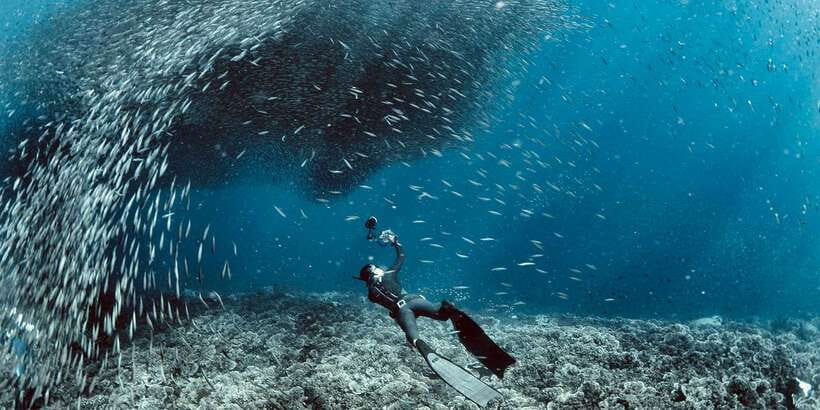 Cebu: Moalboal Sardines & Turtle Snorkeling and Canyoneering - Kawasan Falls, where the day turns physical